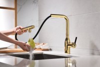 Смеситель для кухни Paulmark Viper Vi213105-G золото Смеситель для кухни Paulmark Viper Vi213105-G золото