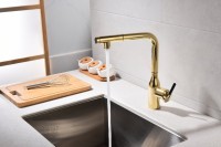 Смеситель для кухни Paulmark Viper Vi213105-G золото Смеситель для кухни Paulmark Viper Vi213105-G золото