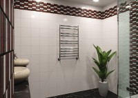 Полотенцесушитель водяной Lemark Status П10 50x80