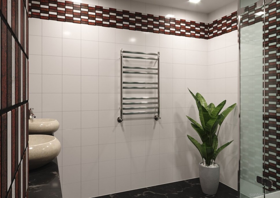 Полотенцесушитель водяной Lemark Status П10 50x80