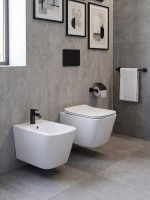 Биде подвесное CHARUS Alva BD700-142W глянцевое белое Биде подвесное CHARUS Alva BD700-142W глянцевое белое