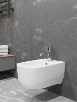 Биде подвесное CHARUS Alva BD700-142W глянцевое белое Биде подвесное CHARUS Alva BD700-142W глянцевое белое