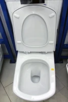 Унитаз подвесной Roca Dama senso Dama Senso 346517000