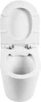 Унитаз приставной напольный BelBagno Flay-r BB1003CBR безободковый, крышка BB2111SC с микролифтом