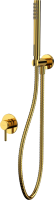 Душевой комплект WHITECROSS Y YSET02GL С ВНУТРЕННЕЙ ЧАСТЬЮ, золото