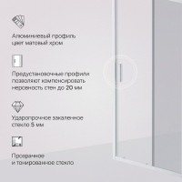 Душевая дверь в нишу AM.PM Gem Solo W90G-100-1-195MG 100 см