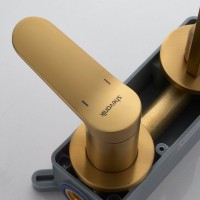 Смеситель для раковины/умывальника встраиваемый Shevanik S4341G, золотой сатин Смеситель для раковины/умывальника встраиваемый Shevanik S4341G, золотой сатин