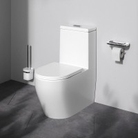 Унитаз-моноблок напольный AM.PM Func C8F8900SC безободковый, с микролифтом, глянцевый белый