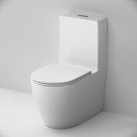 Унитаз-моноблок напольный AM.PM Func C8F8900SC безободковый, с микролифтом, глянцевый белый