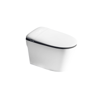 Умный унитаз напольный RGW SW-32