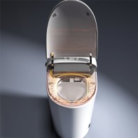 Умный унитаз напольный RGW SW-32