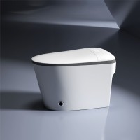 Умный унитаз напольный RGW SW-32