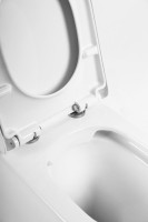 Унитаз приставной напольный BelBagno Flay-r BB1003CBR безободковый, крышка BB865SC с микролифтом