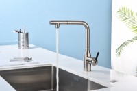 Смеситель для кухни Paulmark Viper Vi213105-BS брашированная сталь Смеситель для кухни Paulmark Viper Vi213105-BS брашированная сталь