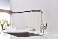 Смеситель для кухни Paulmark Viper Vi213105-BS брашированная сталь Смеситель для кухни Paulmark Viper Vi213105-BS брашированная сталь