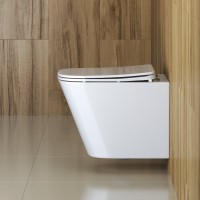 Комплект Унитаз подвесной BelBagno Due + Инсталляция Geberit Duofix Delta 458.149.21.1 с кнопкой смыва, хром + Звукоизоляция