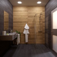 Душевой уголок Triton Терра Хром 120х80 см, профиль хром глянец, стекло прозрачное