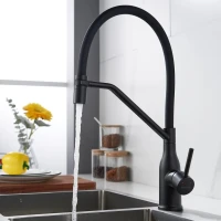 Смеситель для кухни Shevanik S343H-3 черный