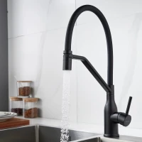 Смеситель для кухни Shevanik S343H-3 черный