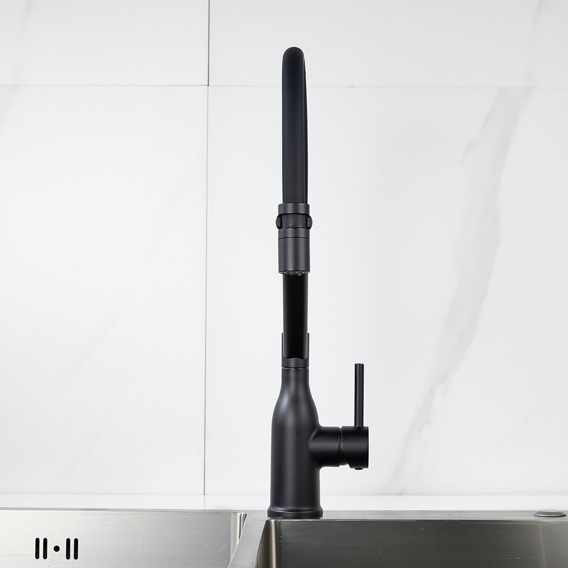 Смеситель для кухни Shevanik S343H-3 черный