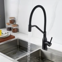 Смеситель для кухни Shevanik S343H-3 черный