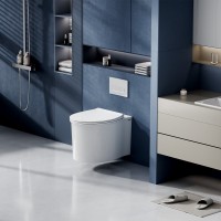 Унитаз подвесной Abber Bequem AC1127 безободковый, с микролифтом, белый