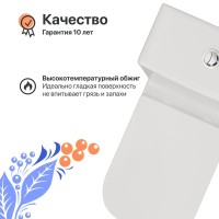 Унитаз-компакт напольный DIWO Коломна 0421 с микролифтом