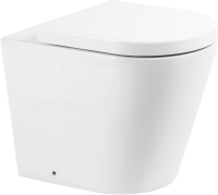 Унитаз приставной напольный BelBagno Flay-r BB1003CBR безободковый, крышка BB105SC с микролифтом