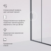 Душевая дверь в нишу AM.PM Gem Solo W90G-110-1-195BT 110 см