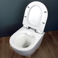 Комплект Унитаз подвесной Teymi Lina Pro T40106 с микрофлитом, безободковый, белый + Инсталляция Grohe Solido 38811KF0 3 в 1 с кнопкой смыва