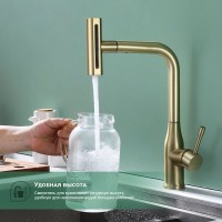 Смеситель для кухни с мультифункциональным изливом Splenka S206.49.03, золотой сатин