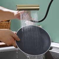 Смеситель для кухни с мультифункциональным изливом Splenka S206.49.03, золотой сатин