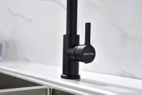 Смеситель для кухни Paulmark Halt Ha214021-AN с гибким изливом, антрацит