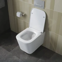 Унитаз подвесной BelBagno Due BB5171CH-TOR/SC безободковый Унитаз подвесной BelBagno Due BB5171CH-TOR/SC безободковый