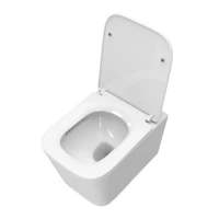 Унитаз подвесной BelBagno Due BB5171CH-TOR/SC безободковый Унитаз подвесной BelBagno Due BB5171CH-TOR/SC безободковый