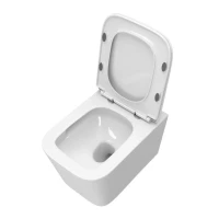 Унитаз подвесной BelBagno Due BB5171CH-TOR/SC безободковый Унитаз подвесной BelBagno Due BB5171CH-TOR/SC безободковый