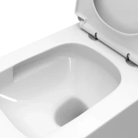 Унитаз подвесной BelBagno Due BB5171CH-TOR/SC безободковый Унитаз подвесной BelBagno Due BB5171CH-TOR/SC безободковый