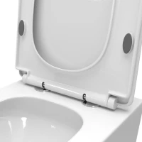 Унитаз подвесной BelBagno Due BB5171CH-TOR/SC безободковый Унитаз подвесной BelBagno Due BB5171CH-TOR/SC безободковый