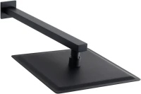 Верхний душ Allen Brau Infinity 5.21A19-31 черный