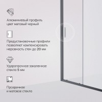 Душевая дверь в нишу AM.PM Gem Solo W90G-110-1-195BM 110 см