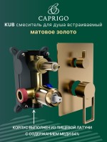 Встраиваемый смеситель для душа и ванны Caprigo Kub 54-051-brg матовое золото