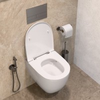 Унитаз подвесной Allen Brau Priority безободковый, белый глянец