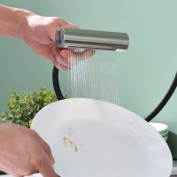 Смеситель для кухни с мультифункциональным изливом Splenka S206.49.05, сатин Смеситель для кухни с мультифункциональным изливом Splenka S206.49.05, сатин