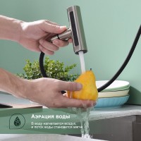 Смеситель для кухни с мультифункциональным изливом Splenka S206.49.05, сатин Смеситель для кухни с мультифункциональным изливом Splenka S206.49.05, сатин