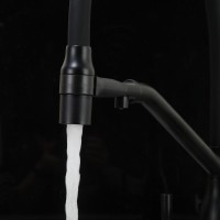 Смеситель для кухни Frap F4397-6 черный