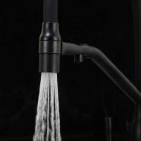 Смеситель для кухни Frap F4397-6 черный