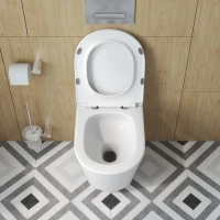 Унитаз подвесной BelBagno Tre BB5180CH-TOR/SC безободковый