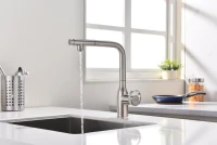 Смеситель для кухни Paulmark Urban Ur213104-BS брашированная сталь Смеситель для кухни Paulmark Urban Ur213104-BS брашированная сталь