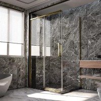 Душевой уголок Veconi Premium Trento PTC-SP-40G 140x90, профиль брашированное золото, стекло прозрачное