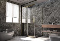 Душевой уголок Veconi Premium Trento PTC-SP-40G 140x90, профиль брашированное золото, стекло прозрачное